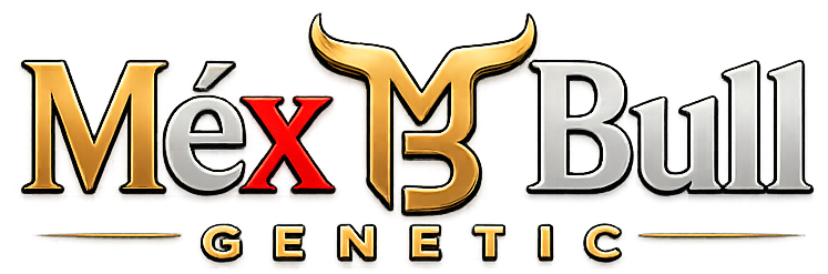 MéxBull